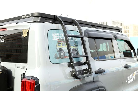 Side Ladder Retrofit Kit for Tank 300 4x4 Vehicles and TS16949/ISO9001 Certified